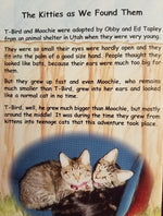 A Tale of Two Kitties by Ed Tapley