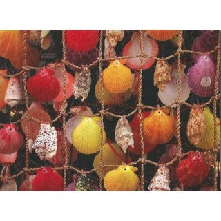 Individual Greeting Card in Plastic Sleeve (Blank Inside) Arbolis Trading Company Individual Greeting Card in Plastic Sleeve (Blank Inside) Arbolis Trading Company